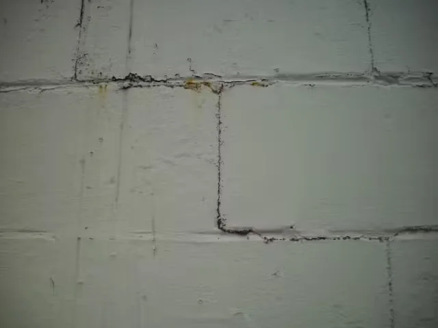 Close-up of painted concrete block wall showing paint failure, cracking, and peeling along mortar joints.