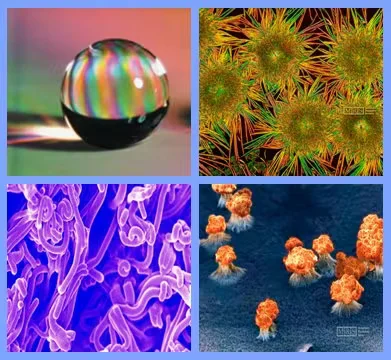 Four-panel collage showing microscopic and advanced-material imagery, including a reflective liquid droplet, spiky pollen-like structures, tangled purple fibers, and clustered orange micro-organisms on a blue surface.