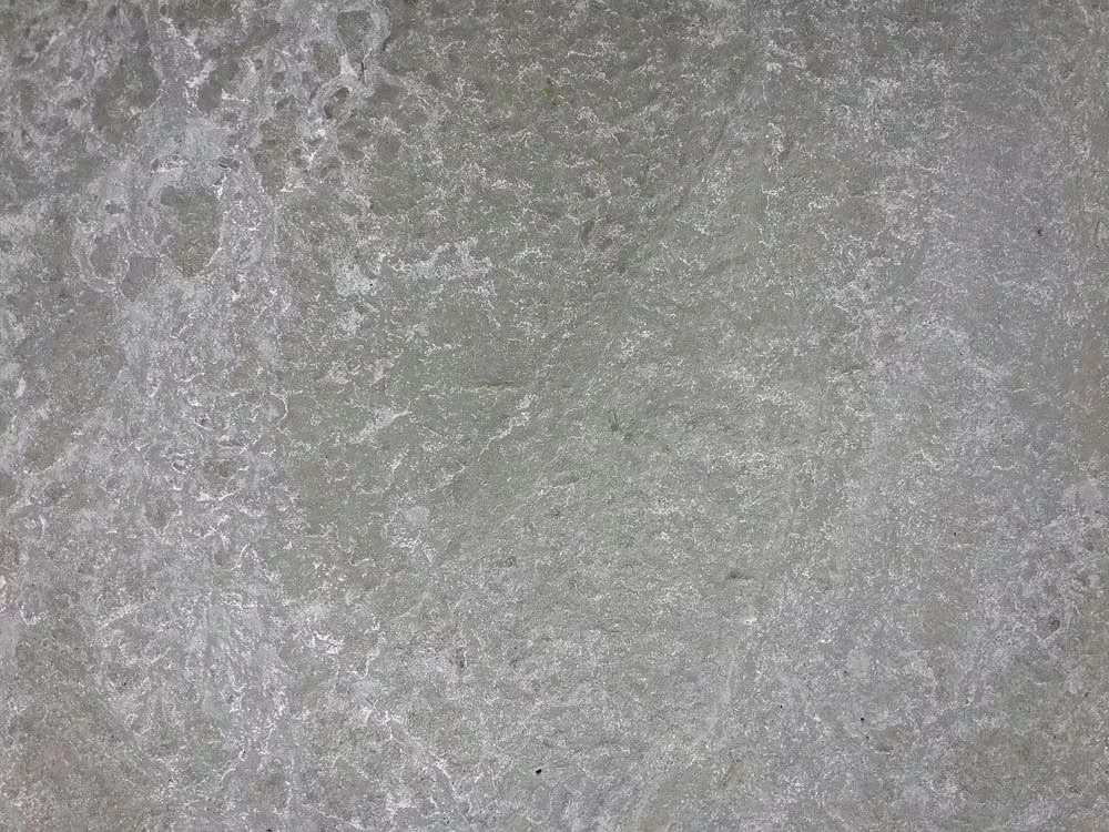 Image of efflorescence. White dust particulates on the surface of concrete flooring.