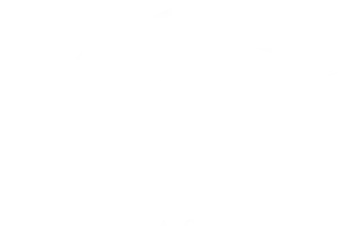 White version of the Painters USA logo. A stylized brush above text that says Painters USA. Industrial, Commercial.