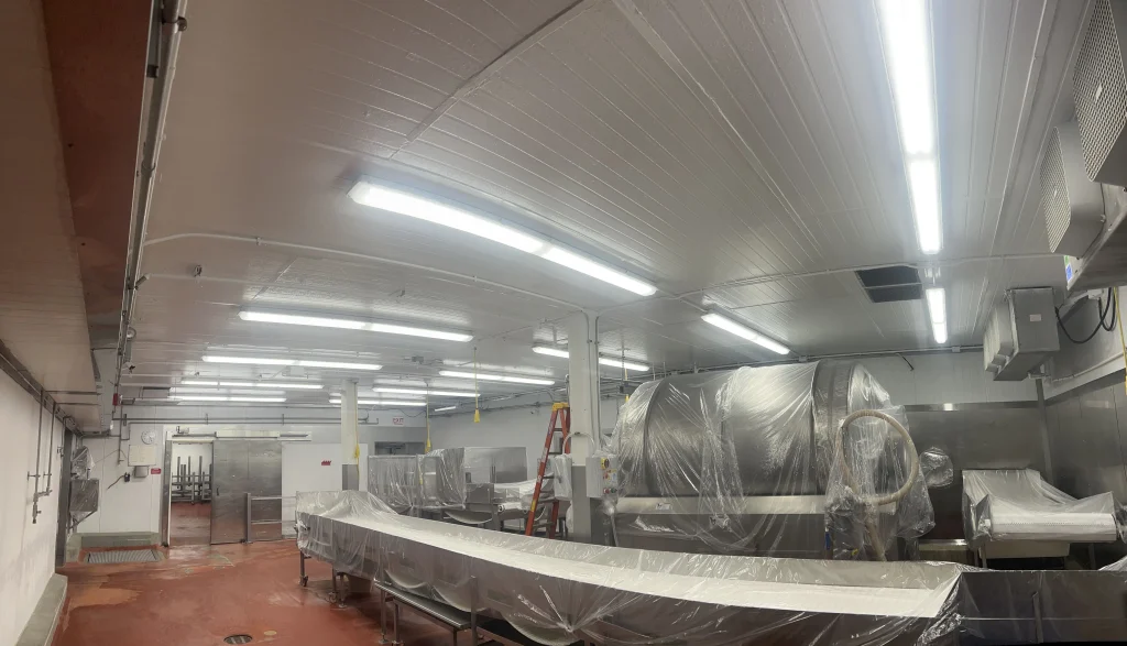 Wide view of a clean food-processing room with bright overhead lights, white paneled ceiling, stainless equipment and conveyors wrapped in protective plastic, a red non-slip floor, a ladder by a column, and a walk-in cooler door in the background.