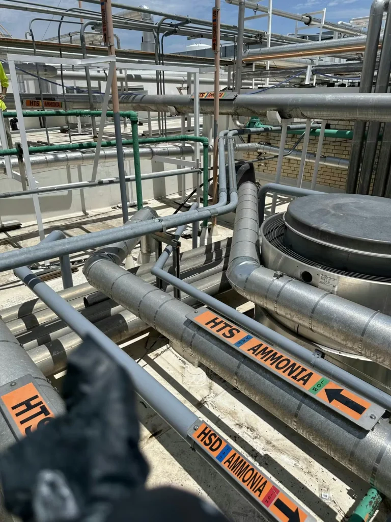 Wider view of an industrial rooftop with intersecting insulated pipes, green and gray lines, and warning labels for “HTS AMMONIA” and “HSD AMMONIA,” with equipment and supports throughout.