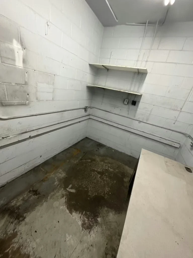 Small utility room with white block walls, corner shelves, exposed conduit, and a stained concrete floor.