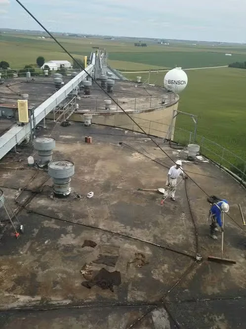Two workers on the flat roof of a large concrete silo spread coating with long-handled tools; vents and pipes dot the roof, and a spherical tank labeled “BENSON” sits beyond the silo with green farmland stretching to the horizon.
