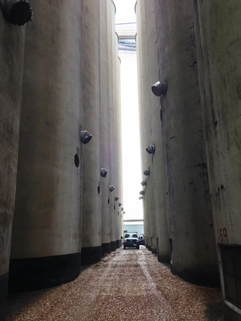 Narrow passage between tall concrete grain silos with metal vent openings along the walls; spilled grain covers the ground, and a pickup truck is parked at the far end beneath an overhead catwalk.