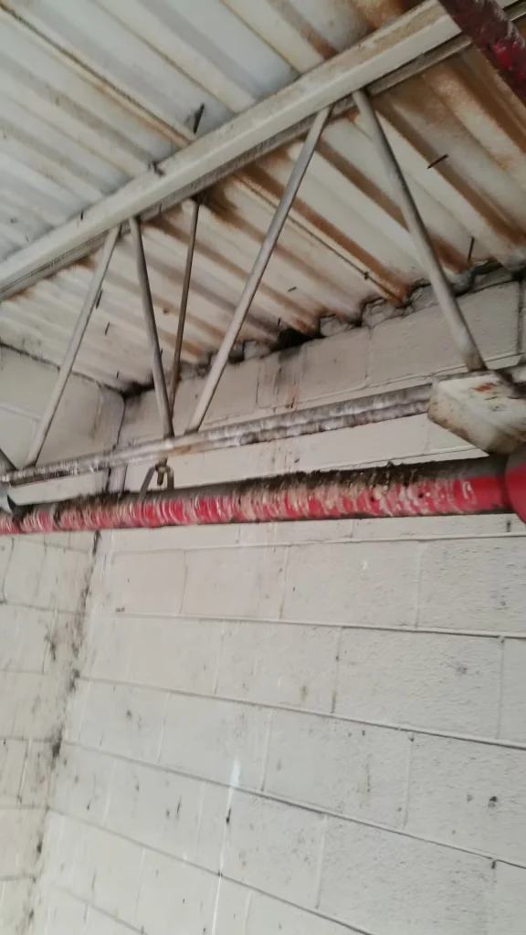 Upward view of a warehouse dock area showing rust-stained corrugated metal roof panels and white steel trusses above a painted cinderblock wall; a red pipe runs along the wall beneath the roofline.