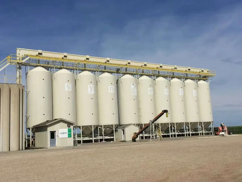 Row of large white grain silos connected by an elevated yellow catwalk, with faint “Syngenta” lettering across the silo faces; a small site building and a conveyor/auger sit in front on a wide gravel lot under a clear blue sky.